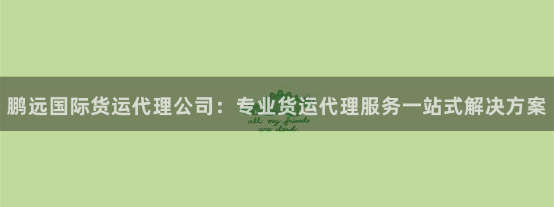 尊龙d88用现推选ag发财网：鹏远国际货运代理公司：专业