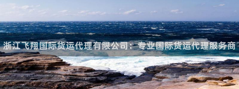 尊龙凯时代理佣金发不发：浙江飞翔国际货运代理有限公司：专