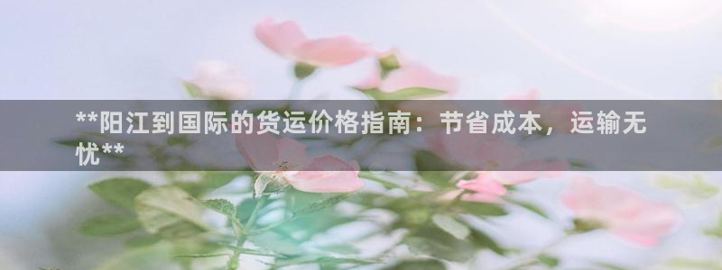 尊龙凯时登入首页：**阳江到国际的货运价格指南：节省成本