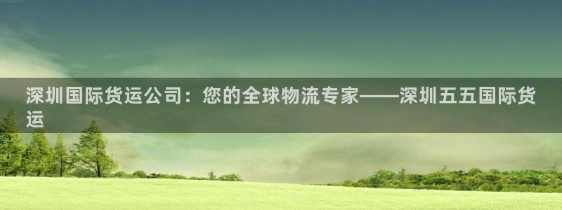 尊龙凯时的企业文化：深圳国际货运公司：您的全球物流专家—