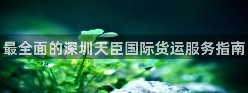 尊龙游戏官网